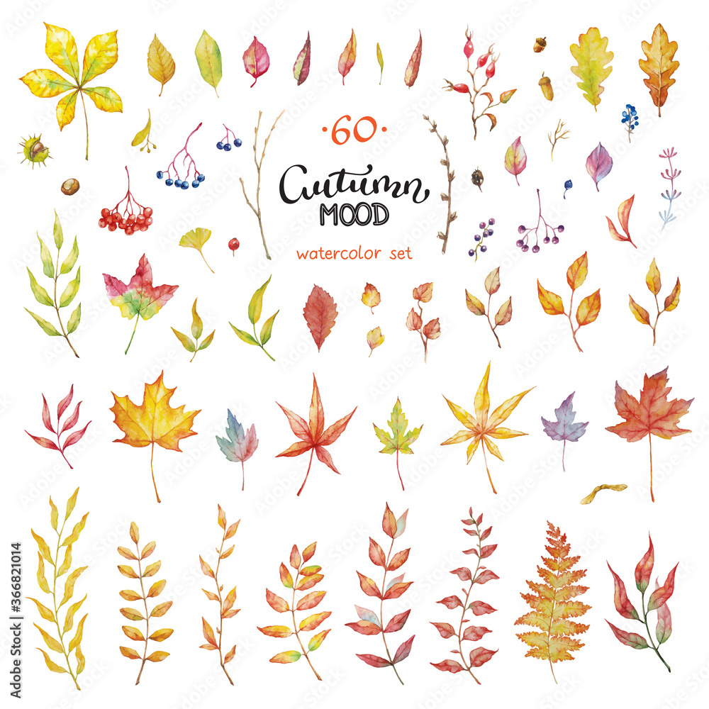 Vector Big Set of red autumn watercolor elements - berries and leaves.. Collection garden, wild foliage and branches.