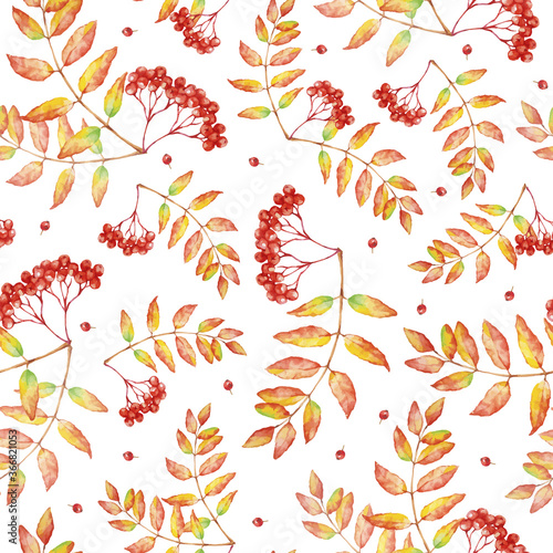 Vector watercolor seamless pattern with rowan autumn leaves and berries.