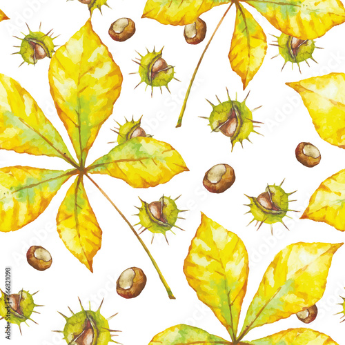 Vector watercolor seamless pattern with chestnut and autumn leaves on white background.