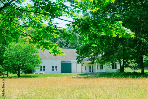 Golden fescue grass meadow and white farm barn