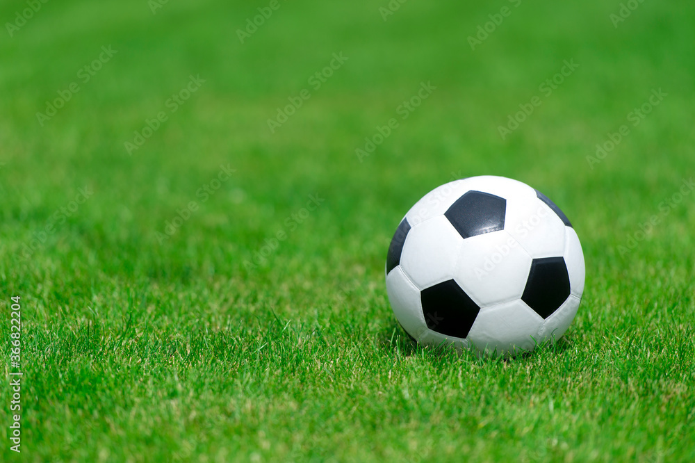 Black and white soccer ball on green soccer pitch. Team sport concept. Black and white soccer ball on green soccer pitch. Team sport concept.
