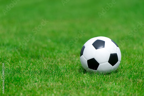Black and white soccer ball on green soccer pitch. Team sport concept.