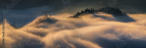 Fototapeta Naklejka Na Ścianę i Meble -  Pieniny foggy trees