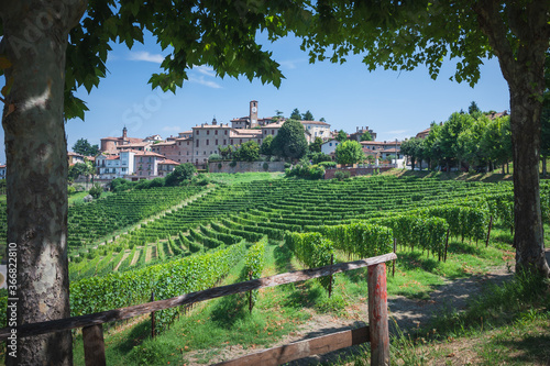 Beautiful Italian landscape. Neive town view from Langhe,Italian landmark. Unesco world heritage site