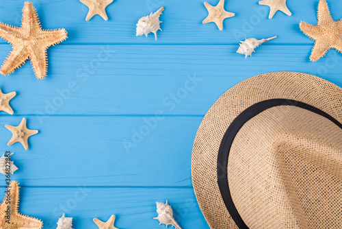 Top above overhead close up photo of woman beautiful sunhat and many lot seashells starfish isolated on blue vivid background