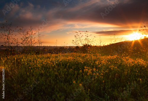 Hillside Scenic Sunset 