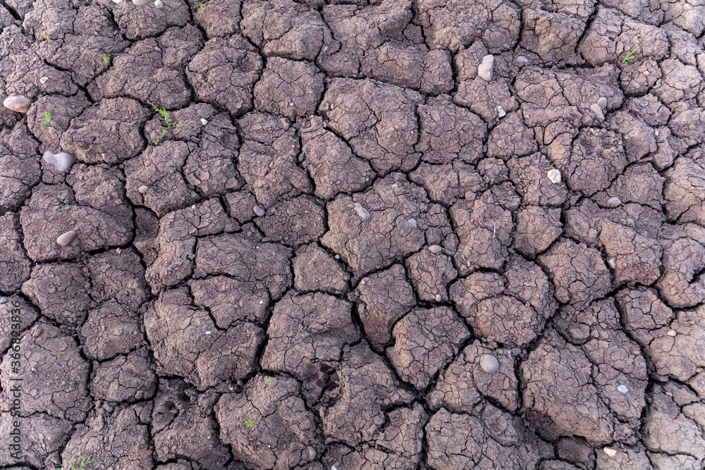 Waterless and deep textured dry riverbed in the English countryside caused by the hot climate and evaporation wide angle background texture. Representing global warming and environmental concerns Waterless and deep textured dry riverbed in the English countryside caused by the hot climate and evaporation wide angle background texture. Representing global warming and environmental concerns