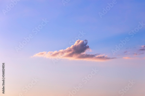 An incredibly unique and beautiful cloud formation in the shape of a bird or a plane, depicting motion, speed and forward thinking. Sunset light casts shadow behind the cloud with an atmospheric glow © andrew