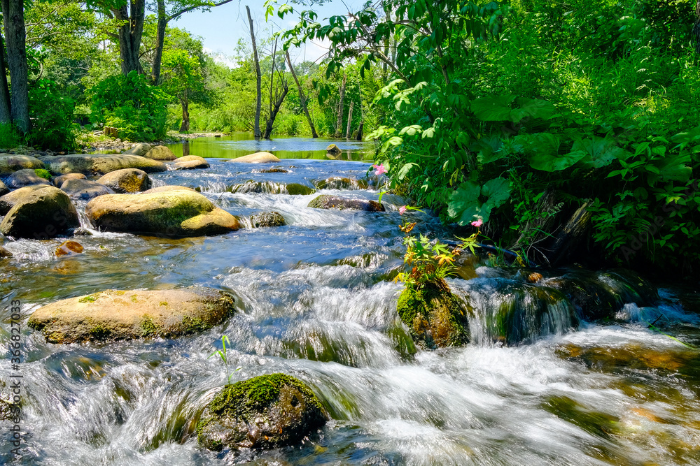 Obraz premium 川の水