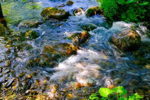 Fototapeta Naklejka Na Ścianę i Meble -  川の水