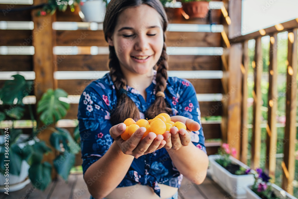 The girl holds plucked yellow plums in her hands. Harvest fresh plucked fruits, ripe plums.