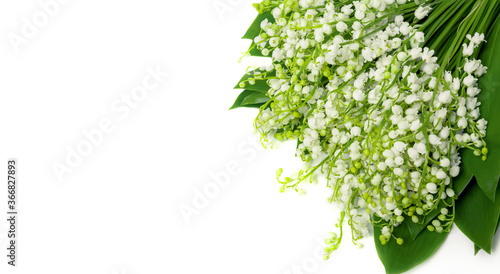 Bouquet of lily of the valley on a white background