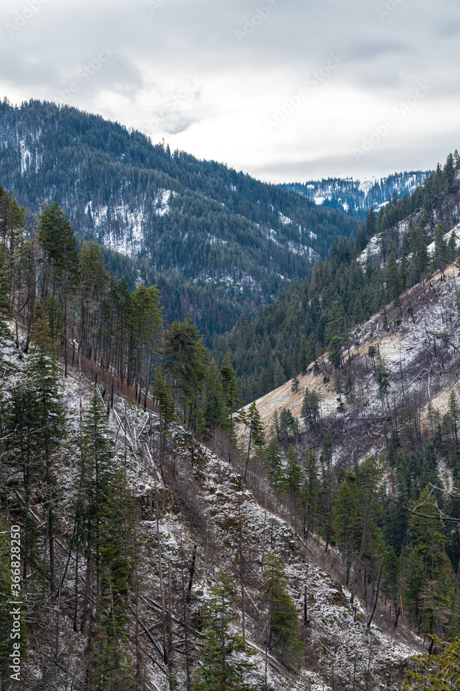 Blue Mountains, Umatilla National Forest, WA