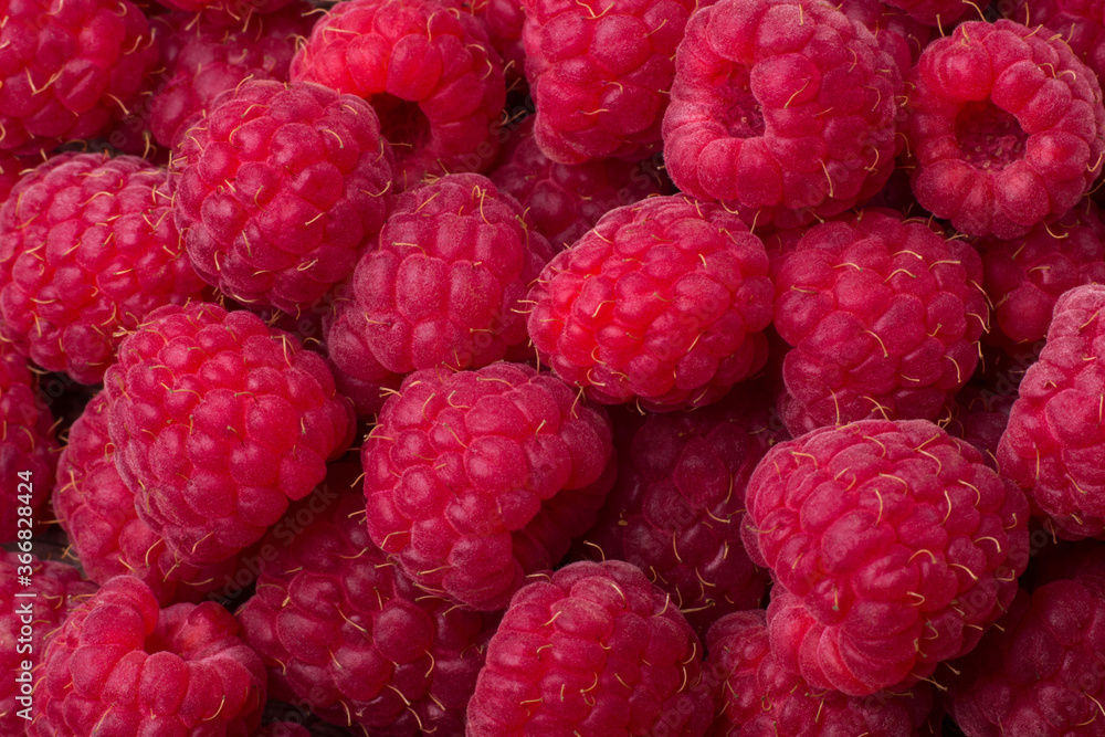 Ripe raspberry as a background close-up Ripe raspberry as a background close-up
