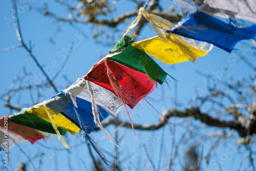 Tibetan prayer flags in closeup with a background or blue sky and tree branches 