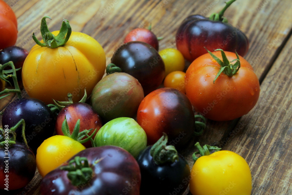 Tomatoes are different in shape and shade on a wooden surface. Tomatoes are different in shape and shade on a wooden surface.