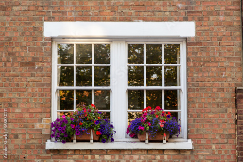 the windows of a victorian house with window boxes and bright flowers