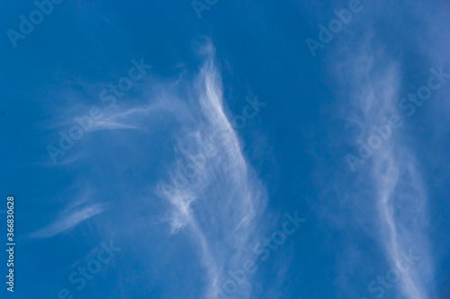 plumose clouds of the top tier in blue space of the sky