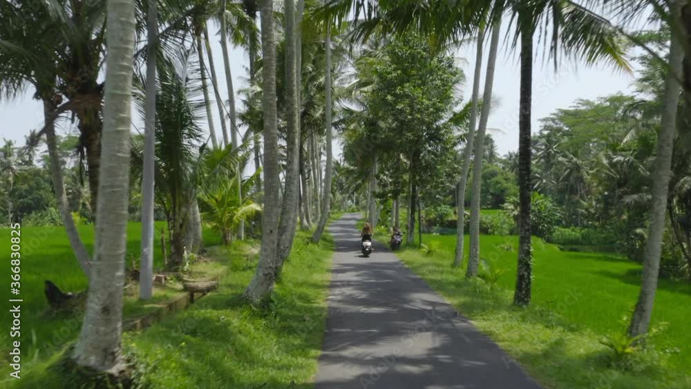 Aerial Tracking Shot Of Tourist Riding A Motorcycle In Beautiful Bali Landscape Aerial Tracking Shot Of Tourist Riding A Motorcycle In Beautiful Bali Landscape