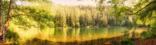 hiking in forest with sunlight