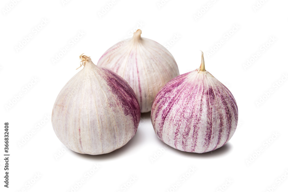 Fototapeta premium Garlic isolated on white background close-up