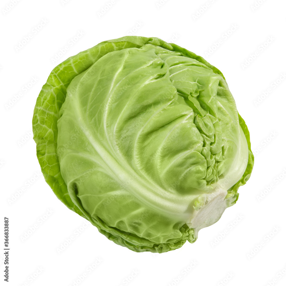 Fototapeta premium White cabbage isolated on white background close-up