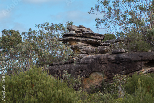 Photography Sandstone Rock Outcrop in Royal National Park, Sydney Australia