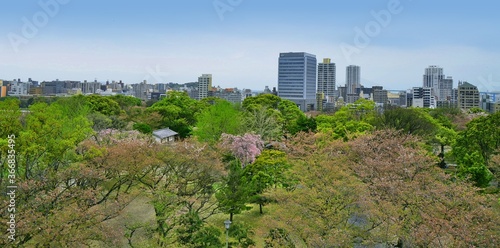 View  of Fukuoka skyline from the ruins of Maizuru castle. Fukuoka city  Japan. 04-07-2015
