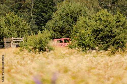 stary wrak samochodu porzucony w lesie