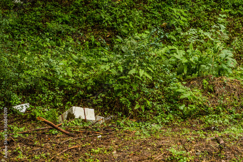 styrofoam container and other debris on the ground