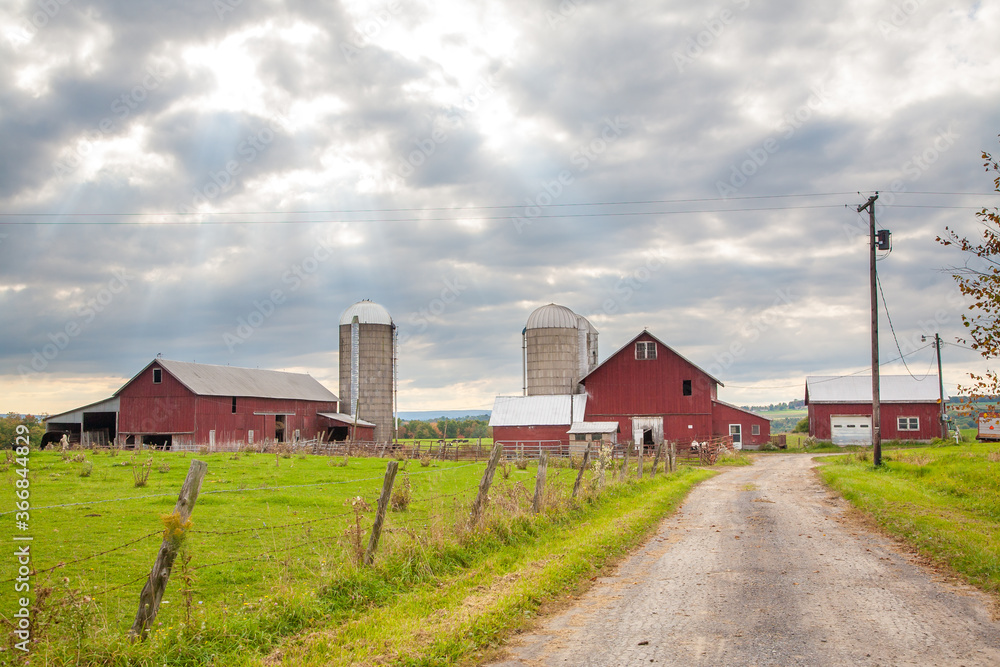 A farm with three red barns  in the finger Lakes Region of Upper New York