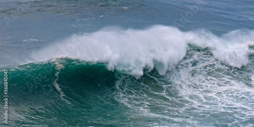 wave in the ocean