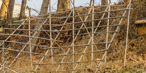 Broken and abandoned bamboo lattice