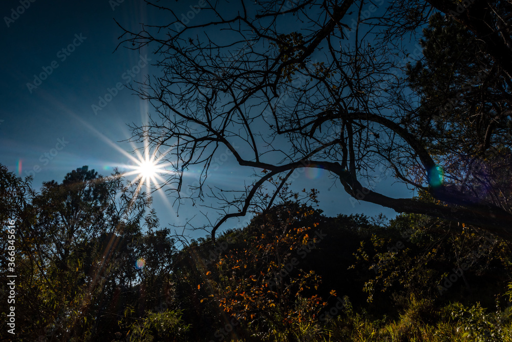 Fototapeta premium landscape