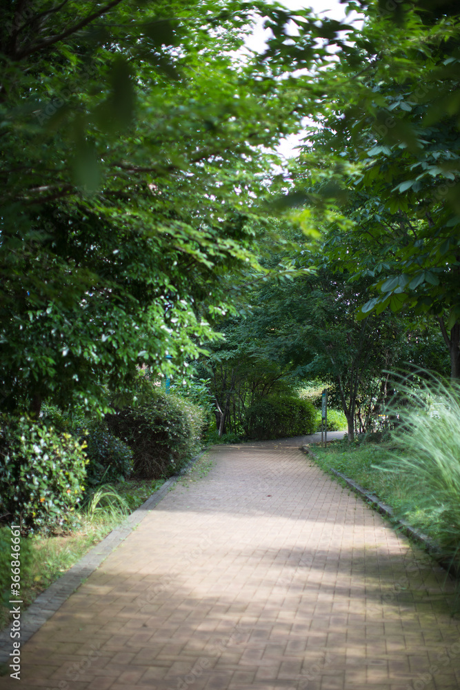 公園に続く緑道 公園に続く緑道