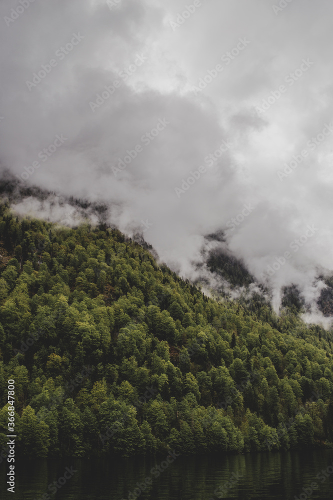 Mountain covered by dense forest on background of lake & grey cloudy sky. Vertical wallpaper