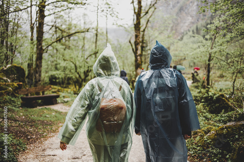 Wallpaper Mural Two travelers with backpacks in polyethylene green & blue raincoats walking in the forest in rainy weather Torontodigital.ca