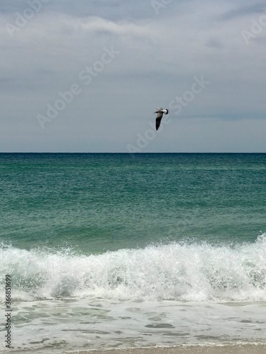 kite surfing on the beach
