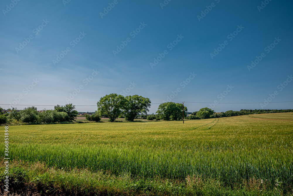 Fototapeta premium Peaceful landscape photo of a village nearby Rochester