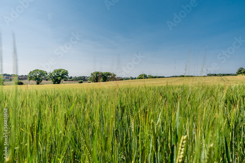 Peaceful landscape photo of a village nearby Rochester