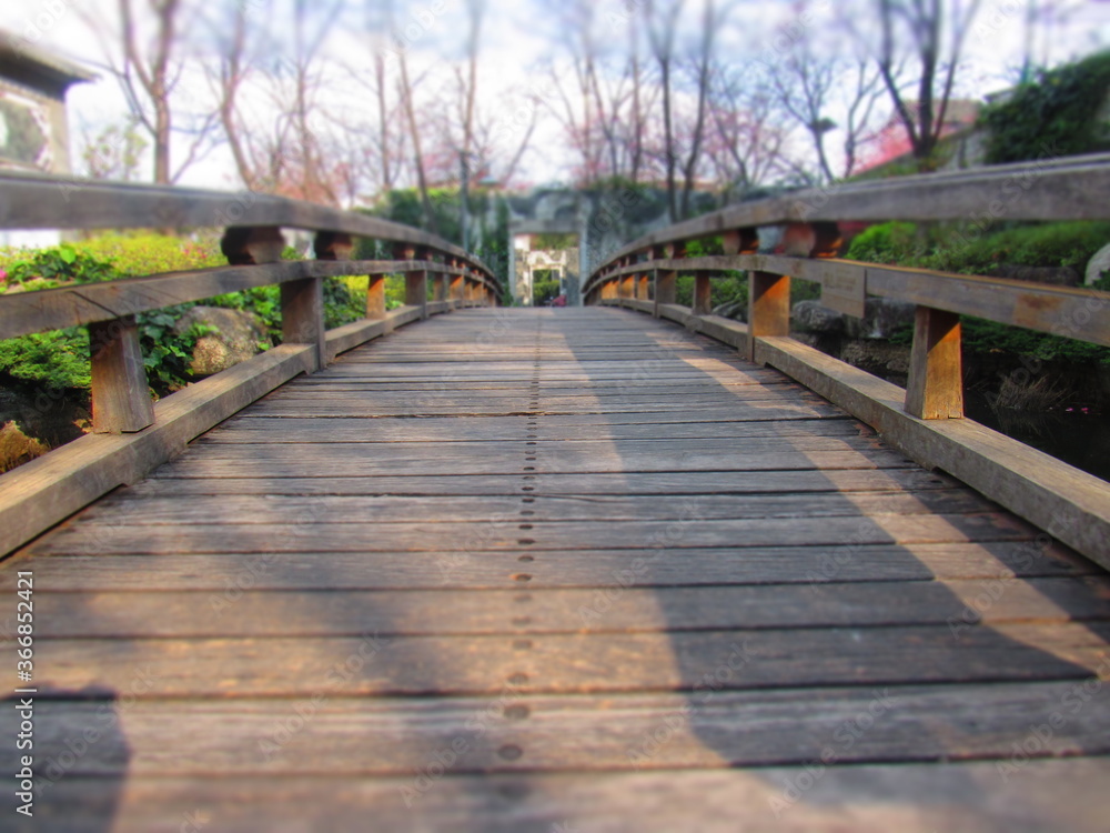 Obraz premium Classic bridge in Asia with flowers around.