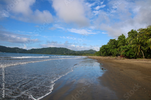 tropical beach with palm trees,tambor, Costa Rica