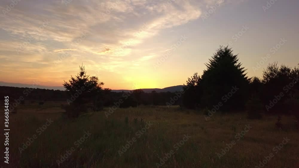 Flying Between Trees In Grass At Sunrise Close Proximity Aerial Cinematic 4K Flying Between Trees In Grass At Sunrise Close Proximity Aerial Cinematic 4K