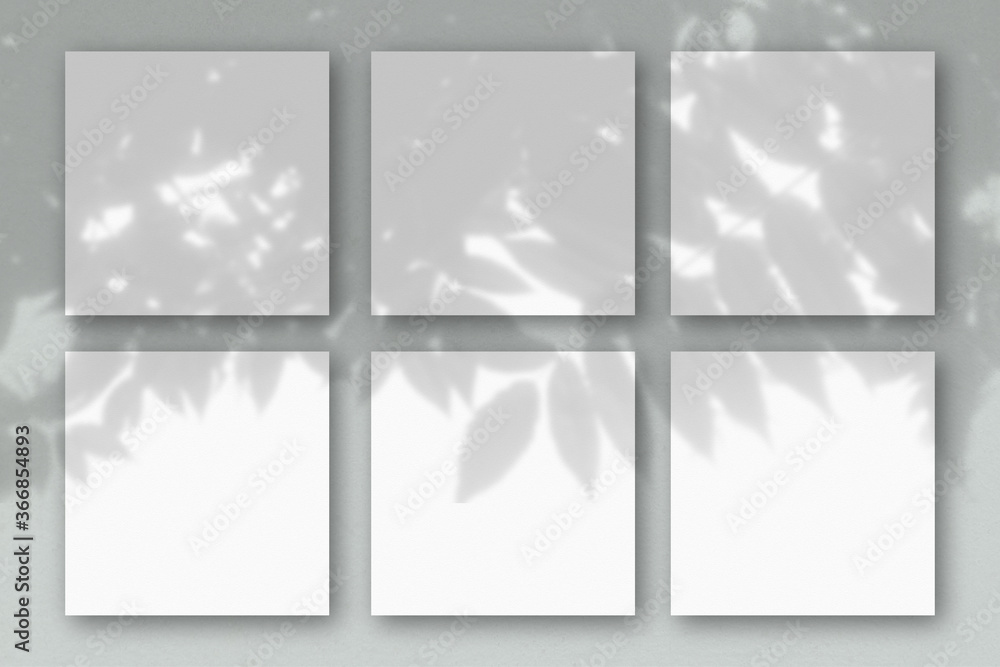 6 square sheets of white textured paper on the grey wall background. Mockup overlay with the plant shadows. Natural light casts shadows from an exotic plant.. Flat lay, top view