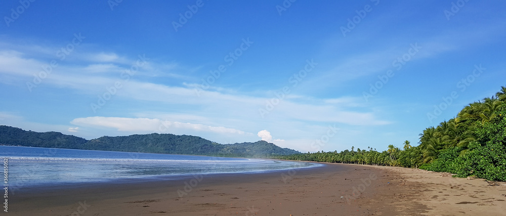 tropical beach with palm trees,tambor, Costa Rica