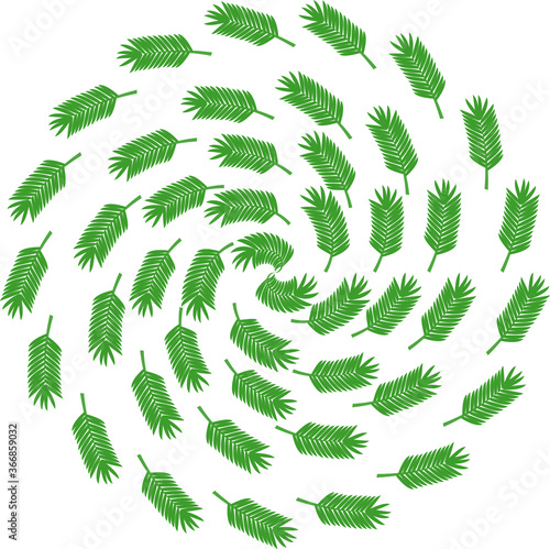 Beautiful circle leaf texture
