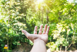 Hand reach out to the forest green nature bokeh like praying and ask for something background.