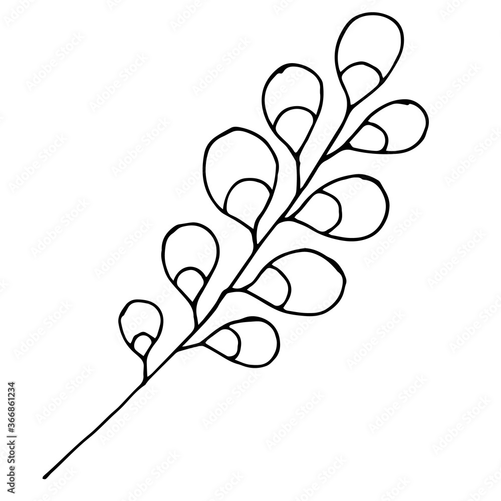 Sketch branch of leaves by hand on an isolated background. Hand drawn branches with leaves and flowers isolated on a white background. Sketch branch of leaves by hand on an isolated background. Hand drawn branches with leaves and flowers isolated on a white background.
