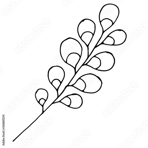Sketch branch of leaves by hand on an isolated background. Hand drawn branches with leaves and flowers isolated on a white background.
