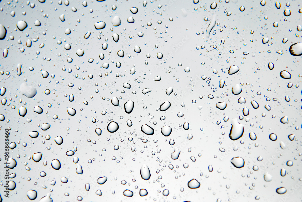Rain drops in Countryside of Germany. Photographed in 2011. Rain drops in Countryside of Germany. Photographed in 2011.